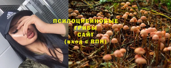 PSILOCYBIN Осинники