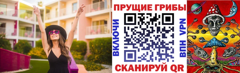 даркнет сайт  Орёл  ссылка на мегу ССЫЛКА  Галлюциногенные грибы Cubensis 